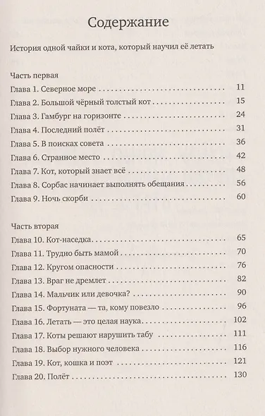 Про котов, чаек, улиток и людей - фото 6
