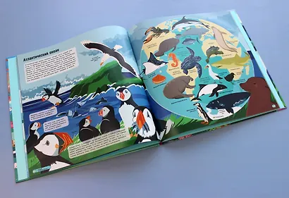 Удивительный атлас морских обитателей. Виртуальная реальность - фото 4