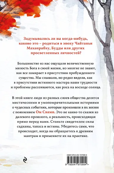 Говорящий с дождем. Чудеса и истории исцеления Ом Свами - фото 2