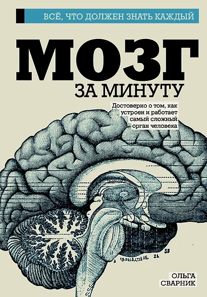 Мозг за минуту - фото 1