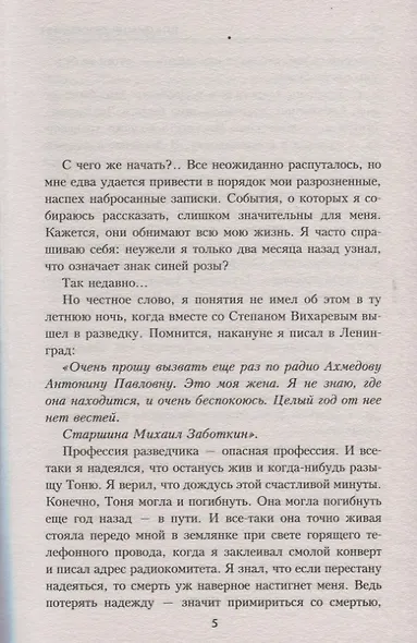 Черный камень - фото 4