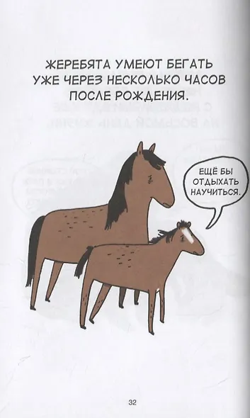 Грустные факты о детёнышах - фото 7