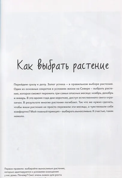 Норвежский сад. Красивые и выносливые растения для городской квартиры - фото 7