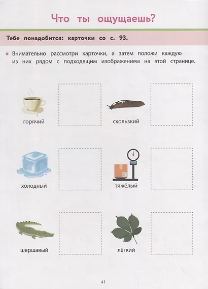 Рабочая тетрадь Монтессори. Окружающий мир - фото 5