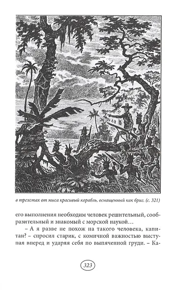 Сокровище Голубых гор - фото 4