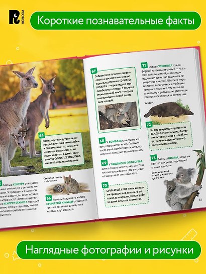 Лучшая детская энциклопедия. 500 фактов обо всем - фото 2