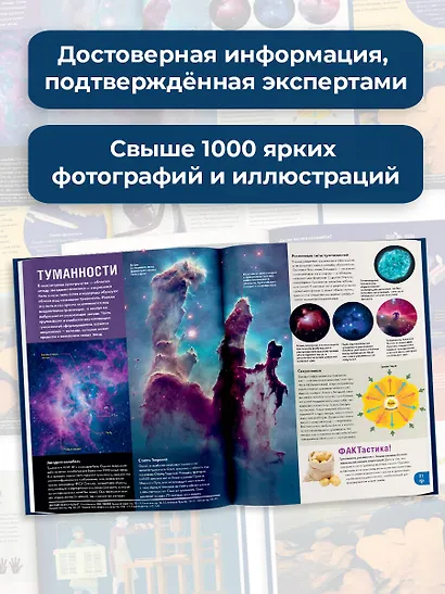 Britannica. Детская энциклопедия - фото 7