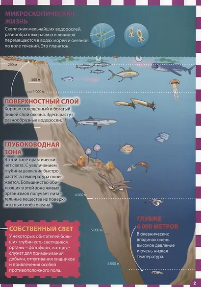 Подводный мир - фото 3