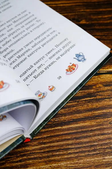 Тайна старого сундука - фото 10