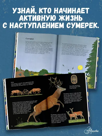 Ночные животные - фото 5