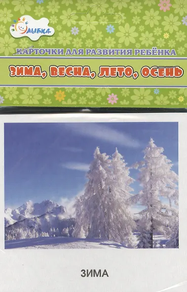 Карточки для развития ребенка "Зима, весна, лето, осень" - фото 2