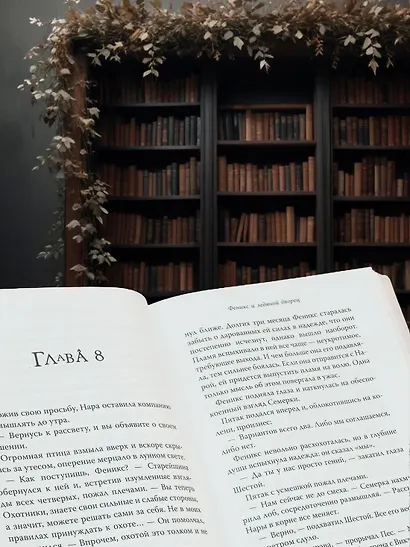 Рожденная огнем. Книга 2. Феникс и ледяной дворец - фото 5