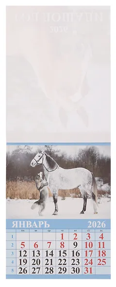 Календарь 2026г 96*135 "Год Лошади. Вид 1" на магните - фото 3
