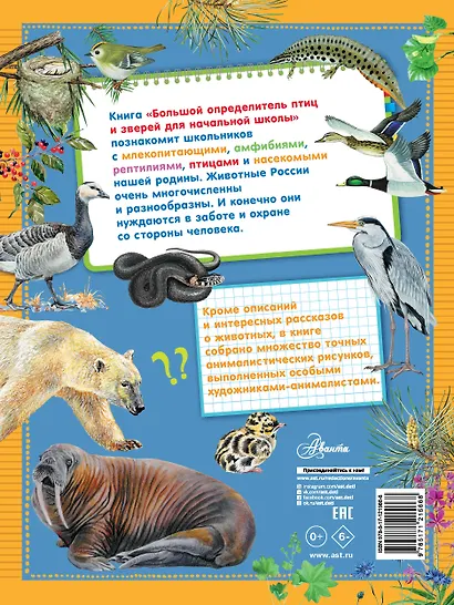 Большой определитель птиц и зверей для начальной школы - фото 2
