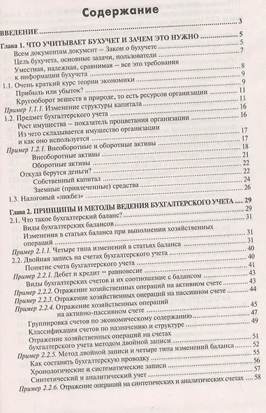 Бухгалтерский учёт: просто о сложном. Самоучитель по формуле "три в одном" - фото 2