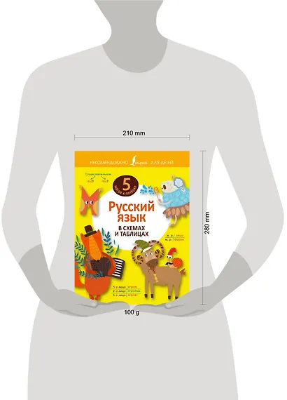 Русский язык в схемах и таблицах - фото 3