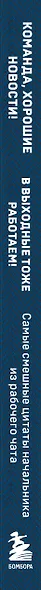 Команда, хорошие новости! В выходные тоже работаем! Самые смешные цитаты начальника из рабочего чата - фото 9