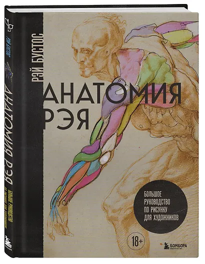 Анатомия Рэя. Большое руководство по рисунку для художников - фото 3