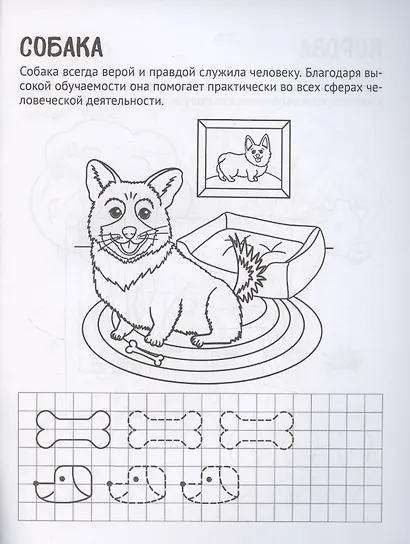 Готовим руку к письму. Раскраска с прописями. Домашние питомцы. Для детей 5-7 лет - фото 2