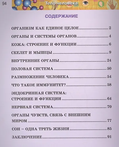 Тело человека - фото 2
