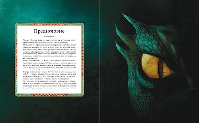 БОЛЬШАЯ КНИГА О ДРАКОНАХ - фото 5
