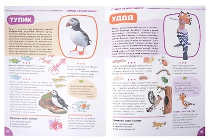 Я познаю мир. Птицы. Познавательная книга для детей 4-8 лет - фото 5