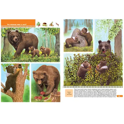 Тайны природы. Для занятий с детьми от 5 до 6 лет - фото 3