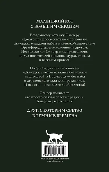 ПодарокОтБоба Оливер. Кот, который спас праздник - фото 2