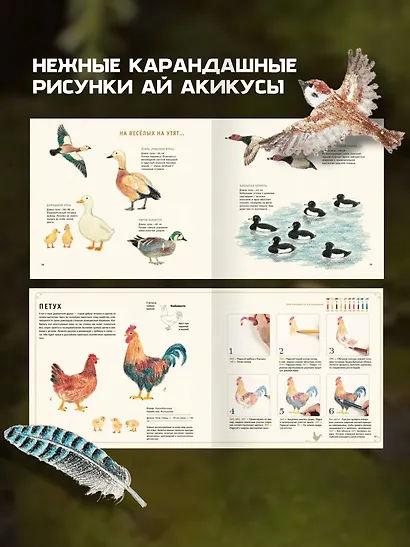 Рисуем милых птиц - фото 4