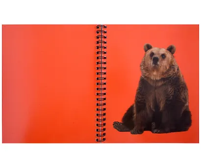 Тетрадь 96л кл. "Зоо микс" гребень, мел.картон, выб.лак. 2-я обложка-разделитель: мел.картон, ассорти - фото 12