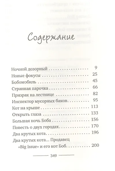 Мир глазами уличного кота Боба. Боуэн Дж. - фото 2