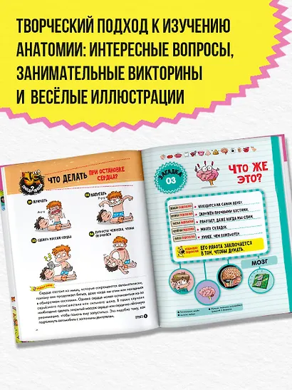 Тело человека - фото 4