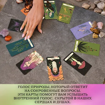 Тайный оракул Зеленой ведьмы (50 карт и руководство в подарочном оформлении) - фото 5