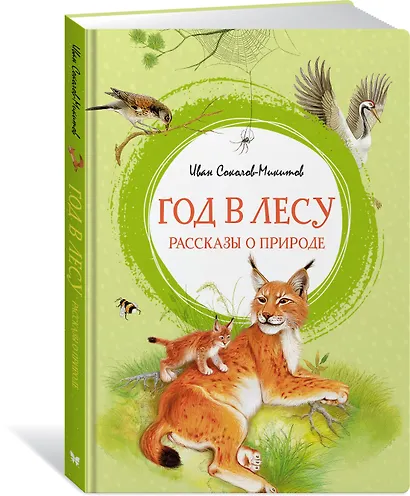 Год в лесу. Рассказы о природе - фото 2