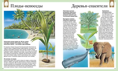 Детская энциклопедия. 250 чудес света - фото 9