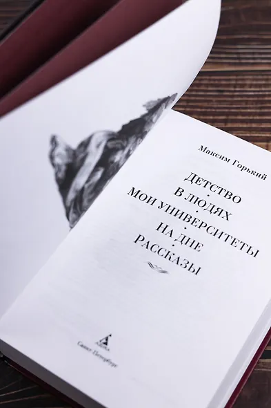 Детство. В людях. Мои университеты. На дне. Рассказы - фото 11
