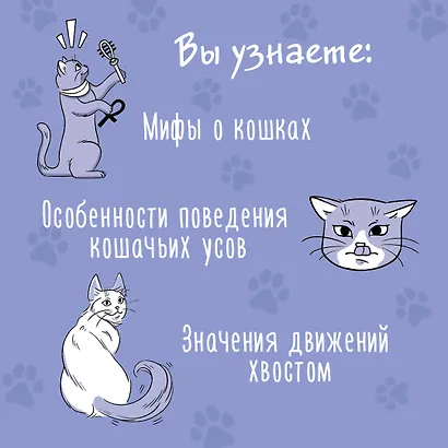 Я тебя понимяу. Как понять язык кошки - фото 6