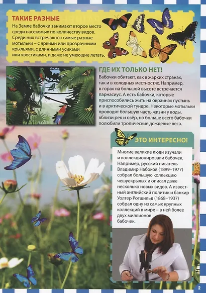 Бабочки - фото 3