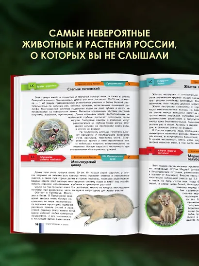Красная книга России - фото 5