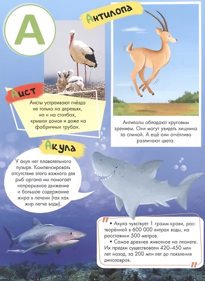 Азбука-энциклопедия интересных фактов о живвотном мире - фото 4