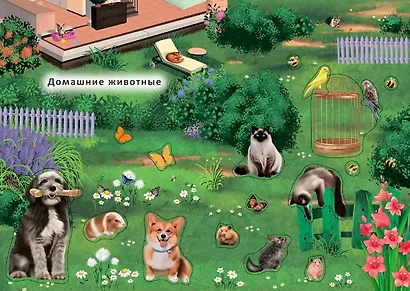 Книга с наклейками и заданиями "Мои первые животные" - фото 3