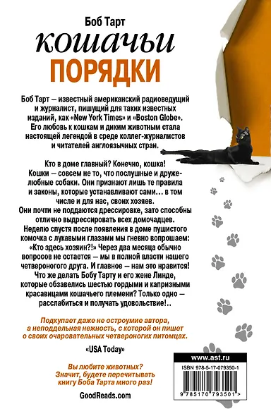 Кошачьи порядки - фото 2