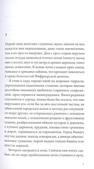 Орнамент - фото 2