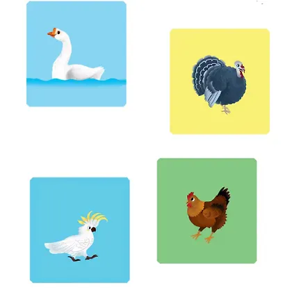 Любимые животные. Энциклопедия с окошками - фото 4