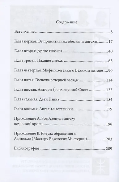 Книга Падших Ангелов - фото 2