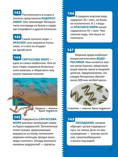 Планета Земля. Энциклопедия российского школьника - фото 7