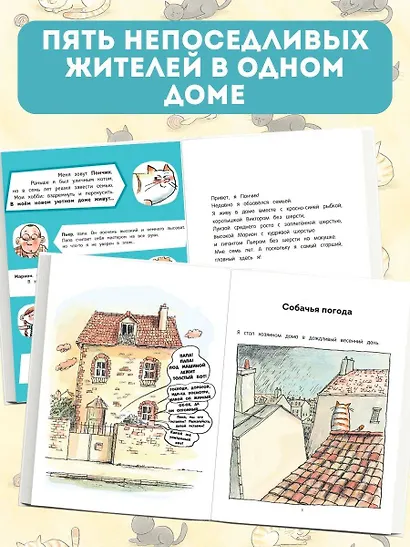 Кот Пончик. Дом кота - фото 5