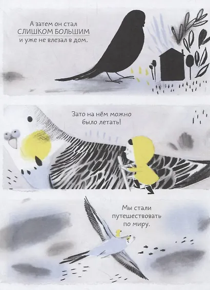 Попугай Колетт - фото 3