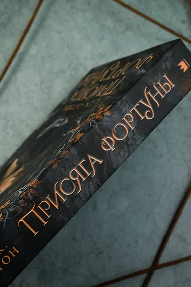 Присяга фортуны - фото 8