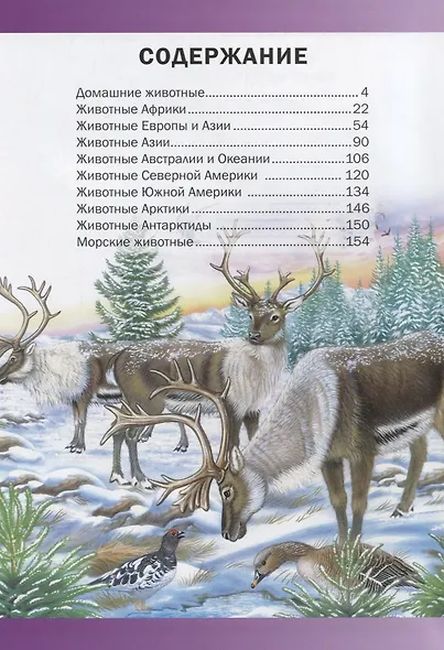 Лучшая энциклопедия животных для детей(МЕЛОВКА) - фото 2